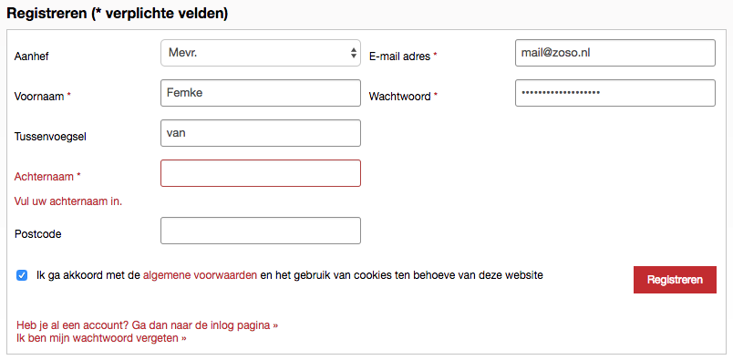 formfoutmeldingvoorbeeld.png