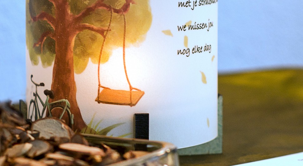 model-hoog_illustratie-boom_schommel_slider-970x531.jpeg